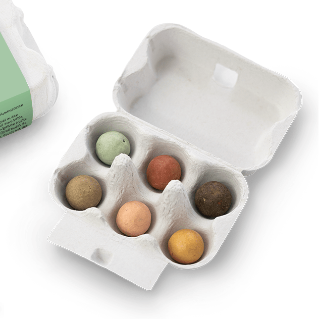 Eierschachtel mit Samenkugeln - der Frühling hat begonnen
