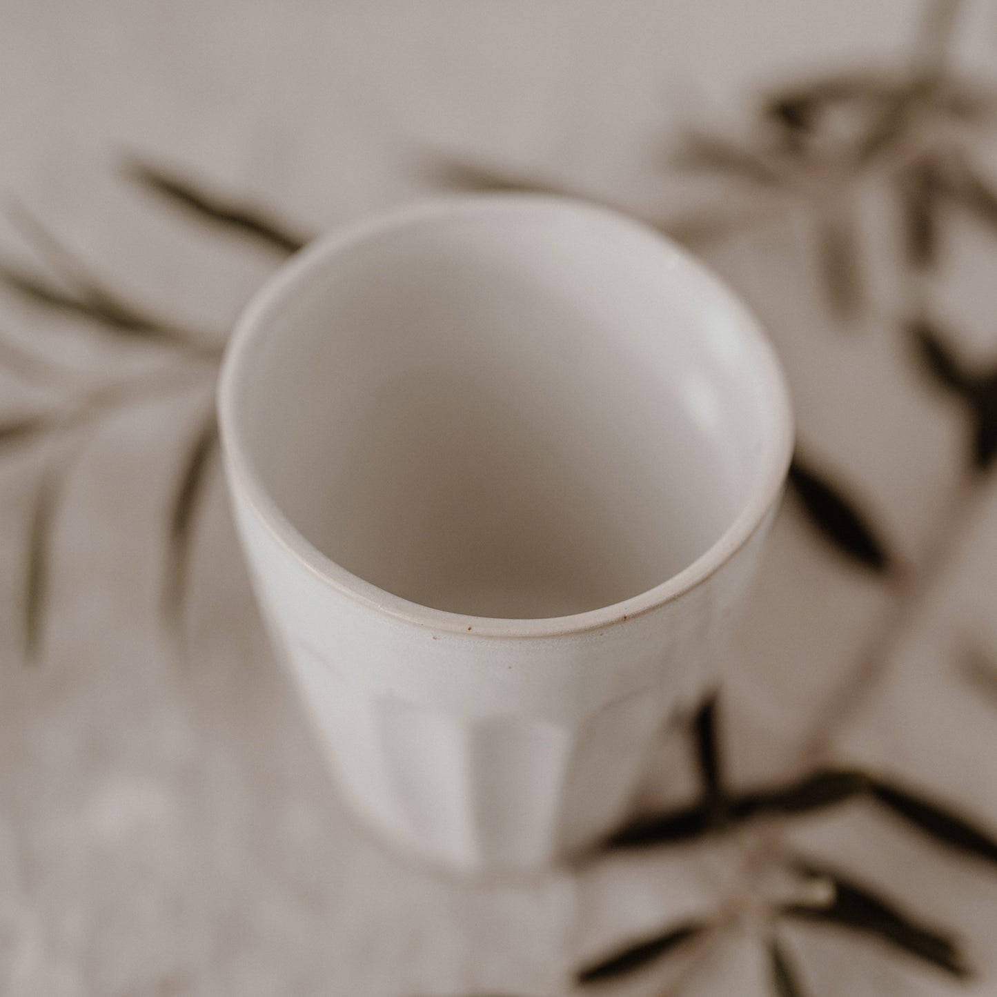 Colina Becher