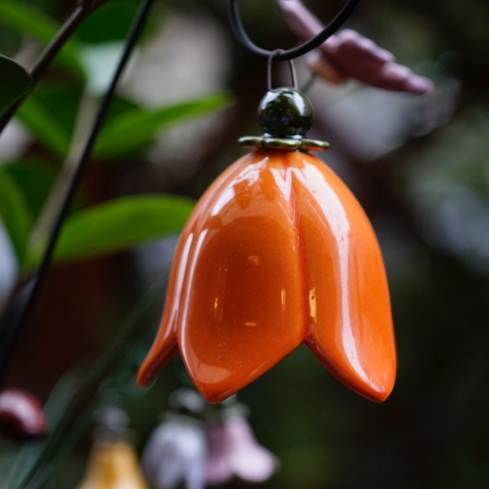 Glockenblume Outdoor
