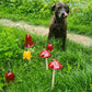 Outdoor Keramik Pilz
