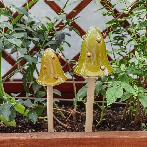 grüner Outdoor Pilz
