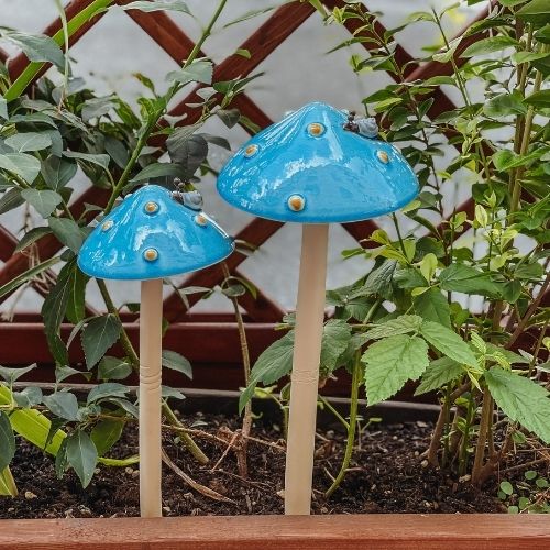 Pilz Outdoor