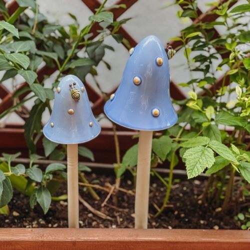 hellblauer Outdoor Pilz