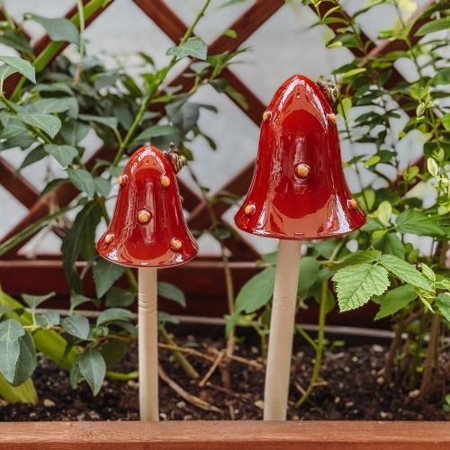 roter Outdoor Pilz