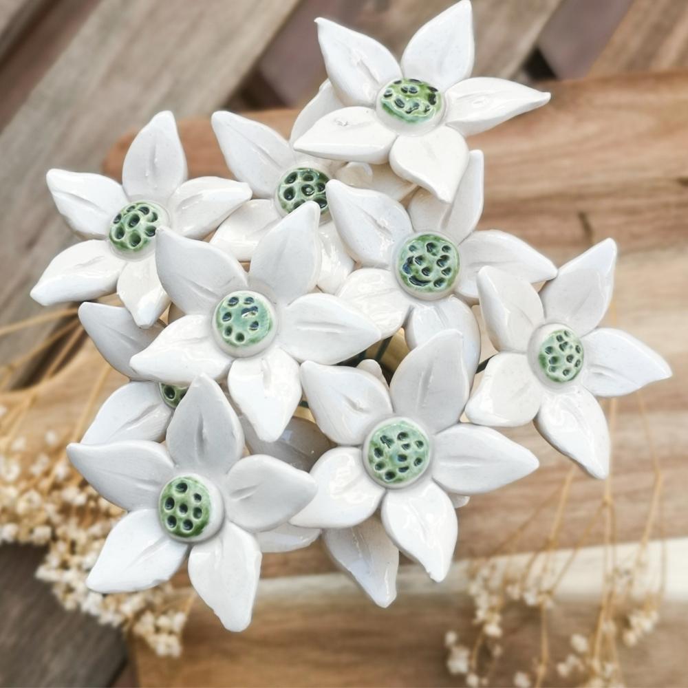 Edelweiß – Keramikblume