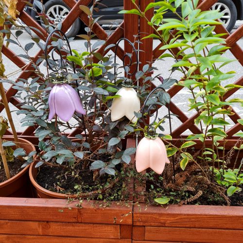 outdoor Blume wien