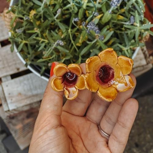 Glockenblume gelb