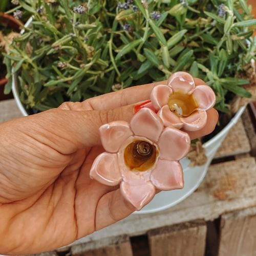 Glockenblume rosa