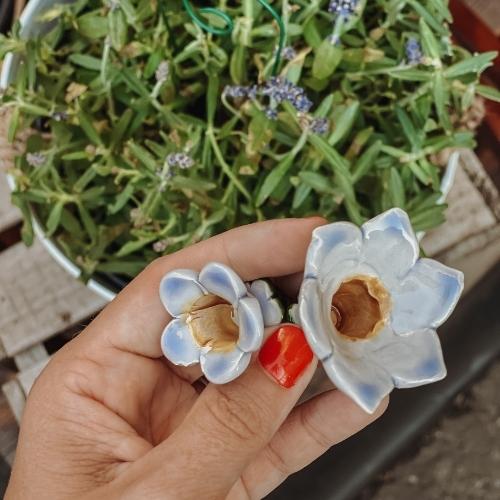 Glockenblume hellblau