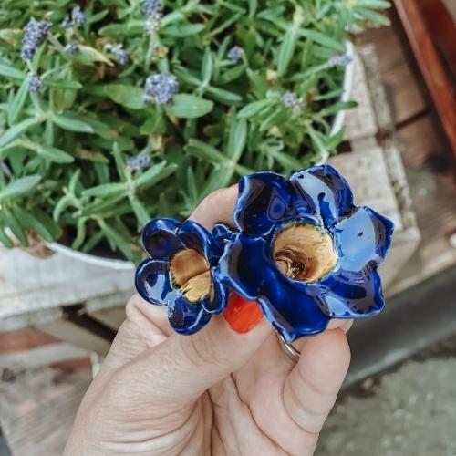 blaue Glockenblume