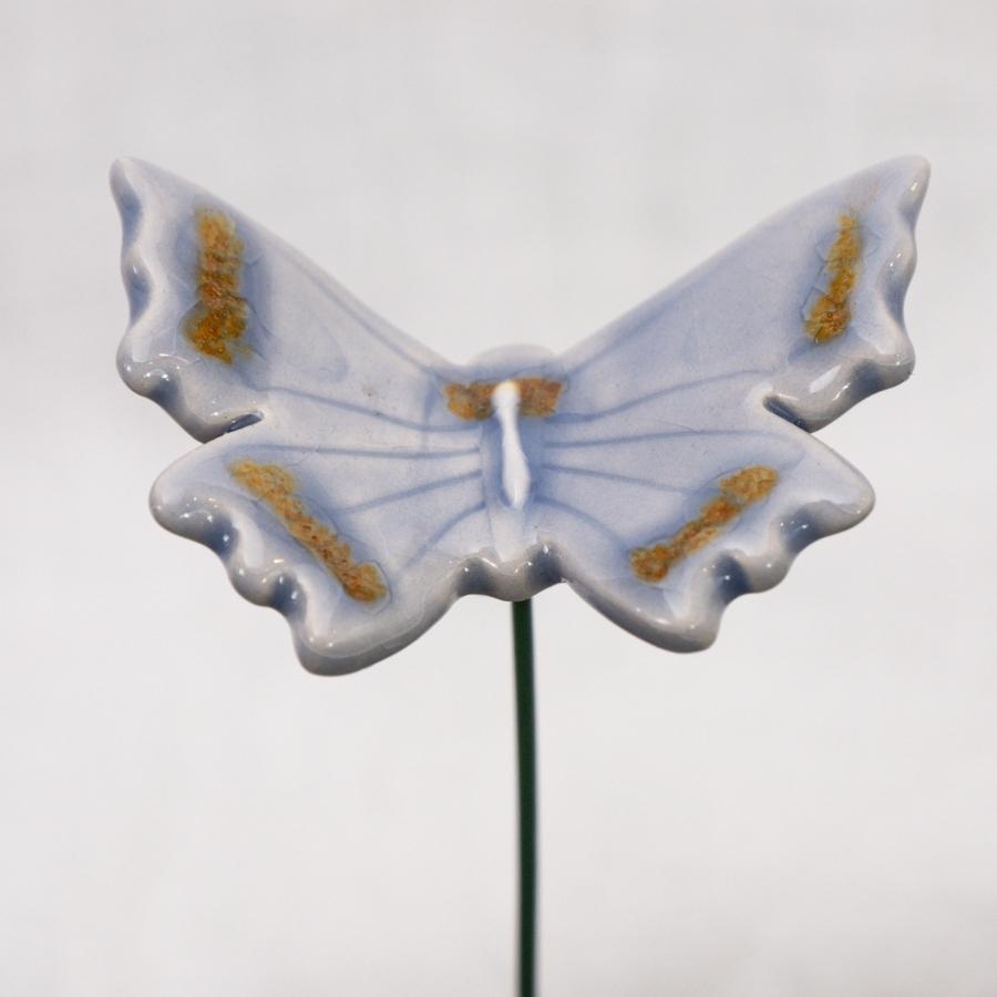 Schmetterling