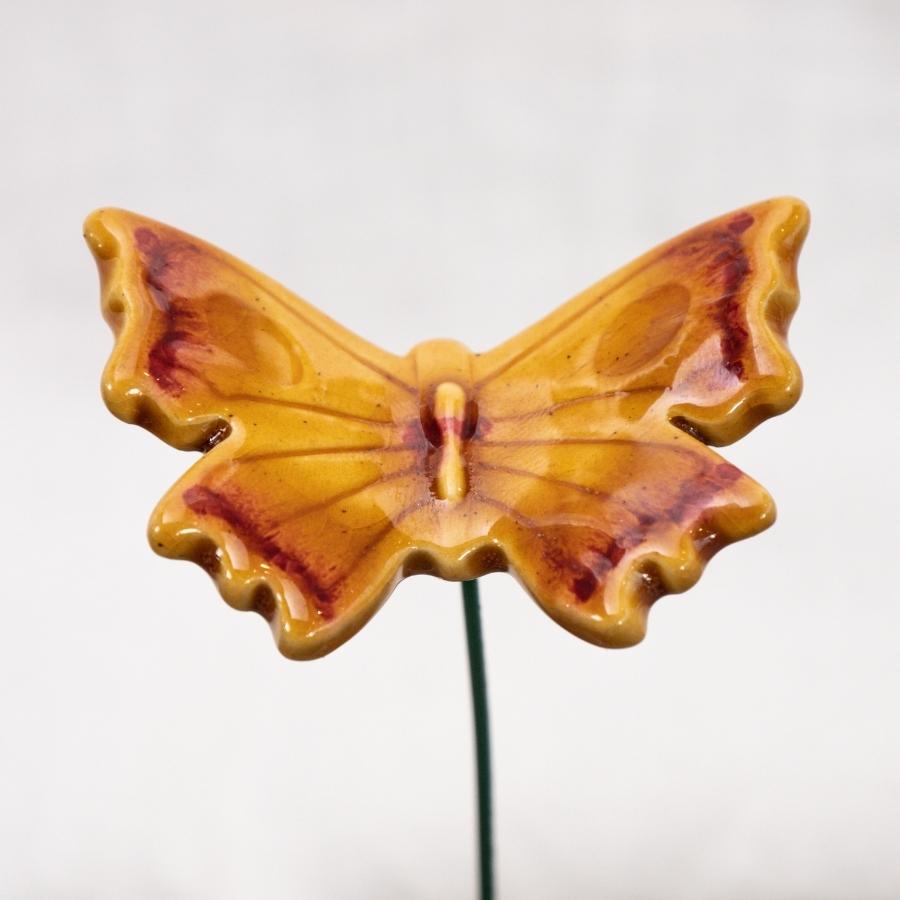 Schmetterling