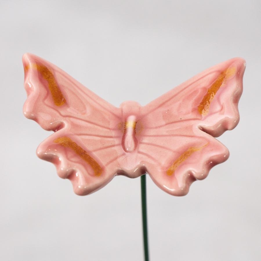 Schmetterling