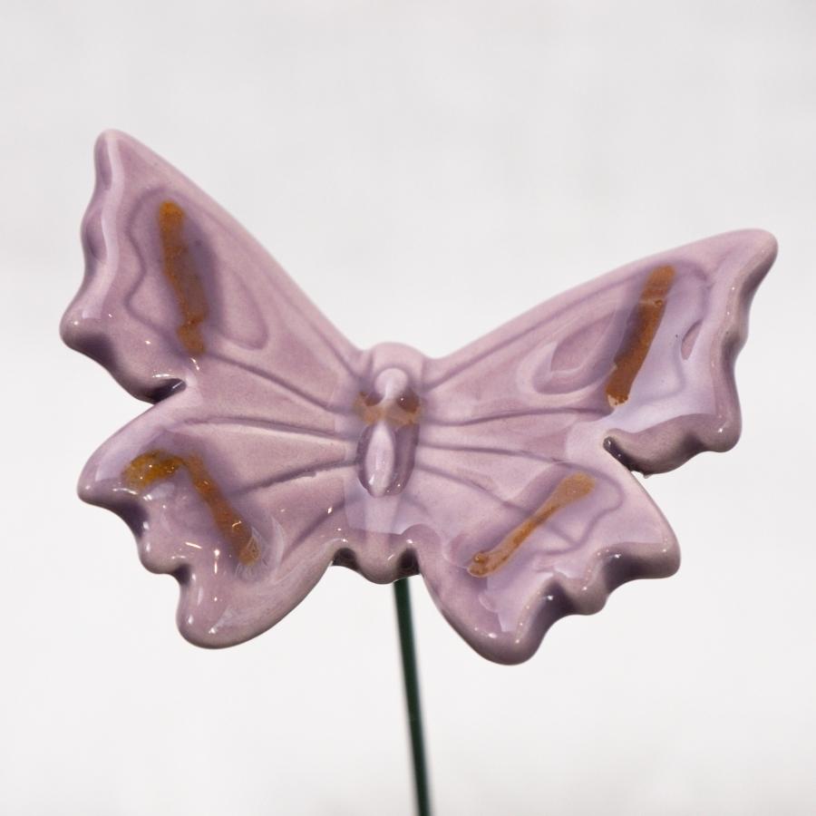 Schmetterling