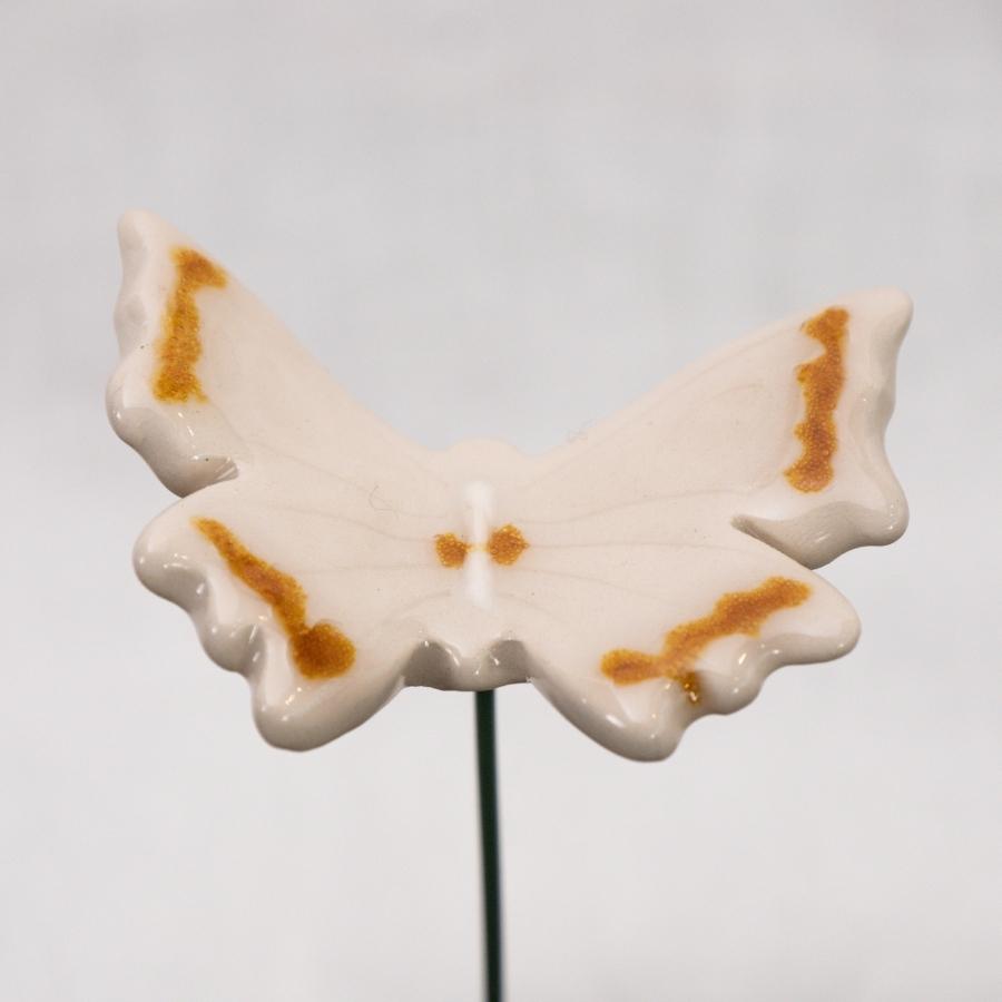 Schmetterling