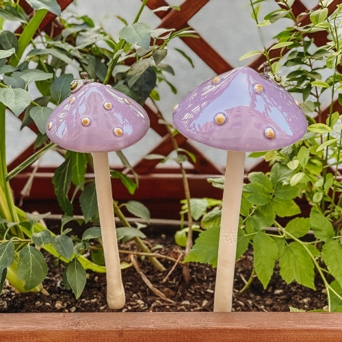 Pilz Keramik
