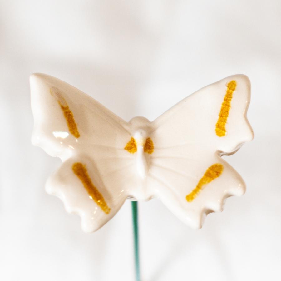 Schmetterling