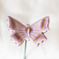 Schmetterling
