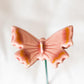 Schmetterling