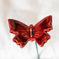 Schmetterling
