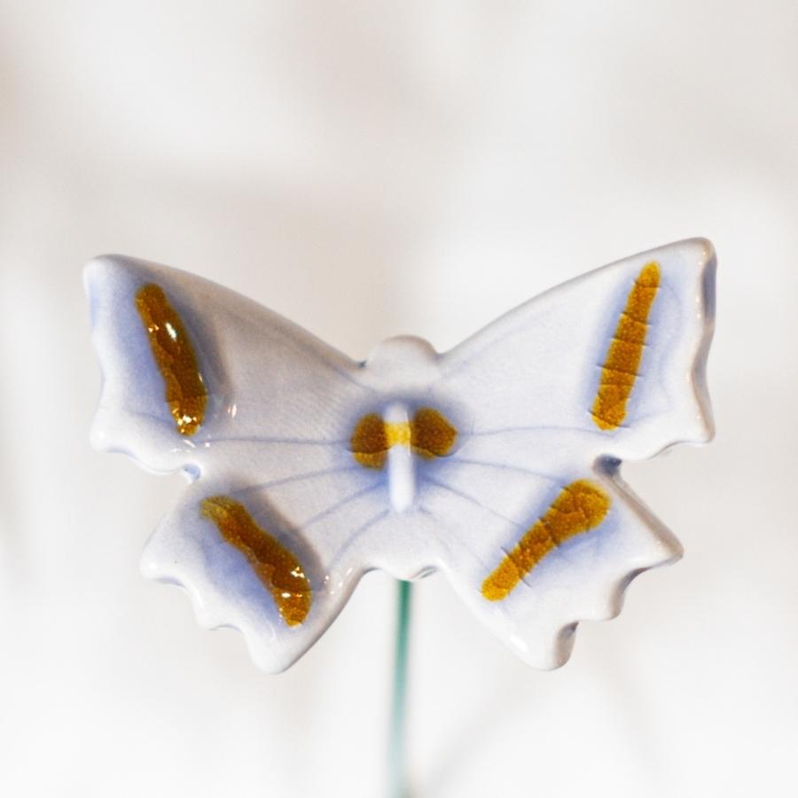 Schmetterling