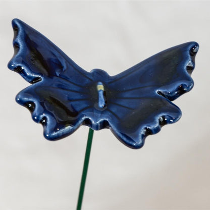 Schmetterling