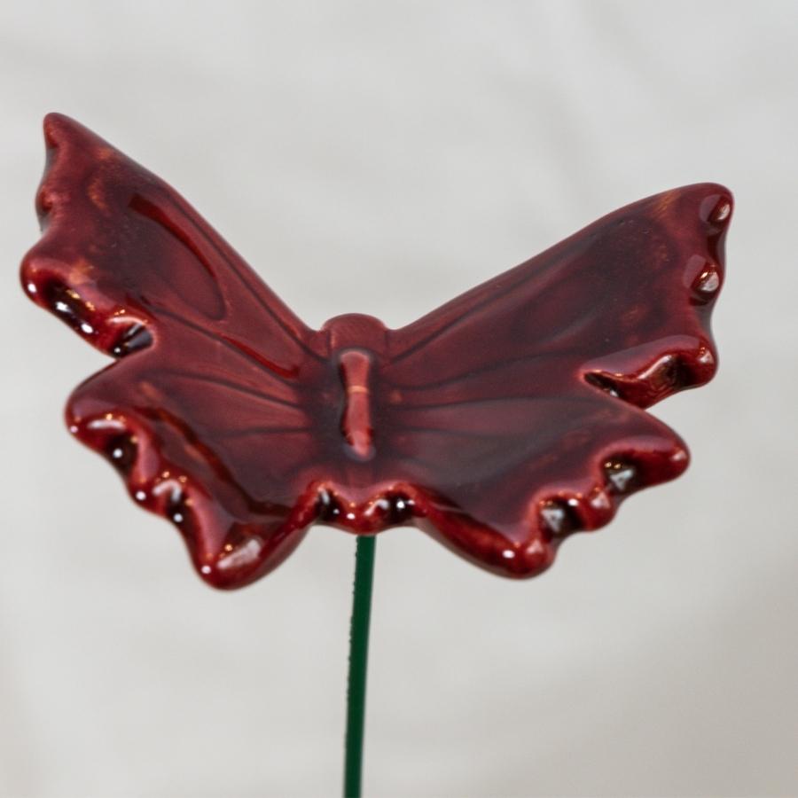 Schmetterling